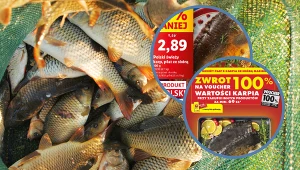 Promocje na karpia na tydzień przed świętami