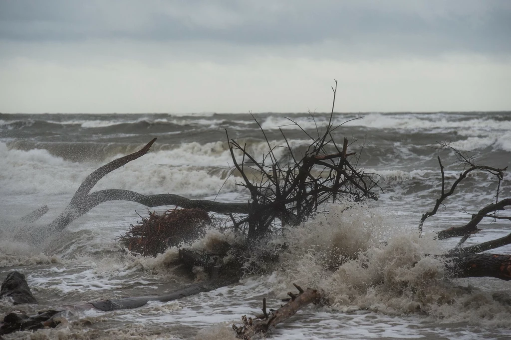 Na północy kraju powieje najsilniejszy wiatr. Rano na Helu zanotowano 94 km/h. W większości kraju obowiązują z tego powodu alerty IMGW pierwszego i drugiego stopnia