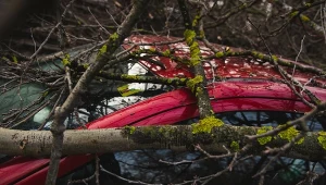 Polska bombardowana ciepłem i wichurą. "Zachowajcie szczególną ostrożność"