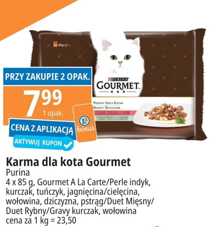 Karma dla kota Gourmet