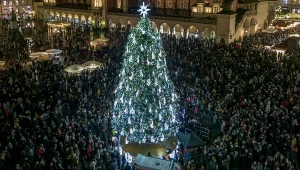 Kraków. Triumf w prestiżowym rankingu. Miasto ma najpiękniejszą choinkę