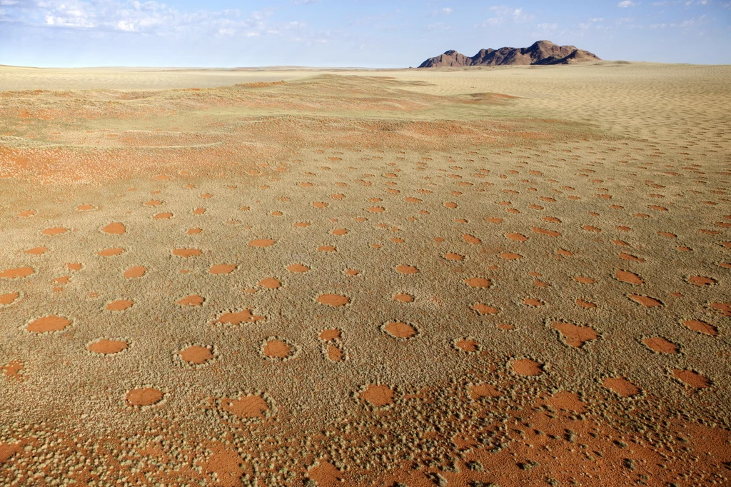 Niezwykłe "kręgi wróżek" na pustyni Namib