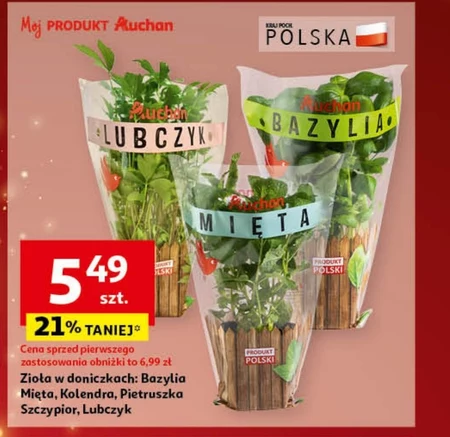 Zioła w doniczce Auchan