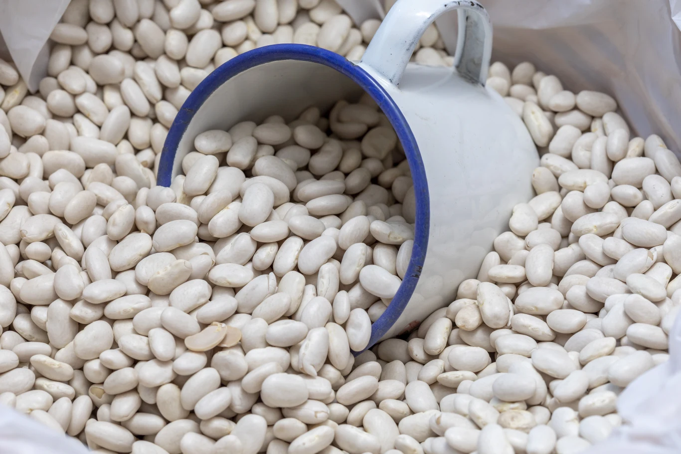 Biała fasola to klasyk w polskiej kuchni. Doskonale nadaje się, by uzupełnić braki wapnia Biała fasola to klasyk w polskiej kuchni. Doskonale nadaje się, by uzupełnić braki wapnia