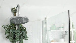 Powieś kilka gałązek w łazience. Zapomnisz o przeziębieniu na całą zimę