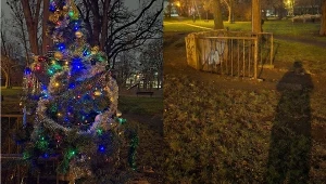 Wrocław. Zniknęła osiedlowa choinka. Organizatorzy akcji podejrzewają kradzież