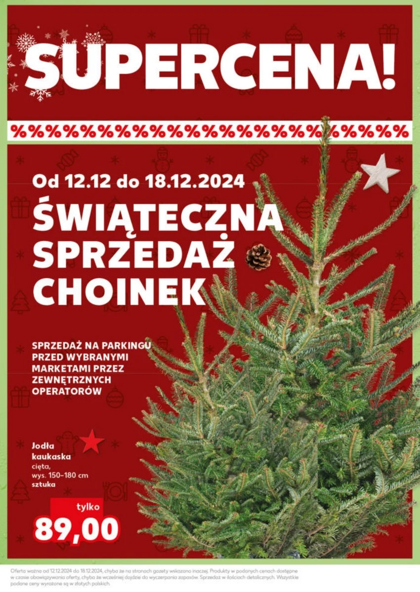 Piękna i trwała! Jodła kaukaska w Kauflandzie w świetnej cenie