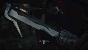 Wiedźmin 4