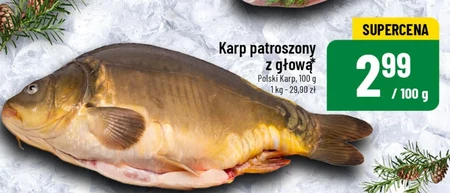 Karp Polski