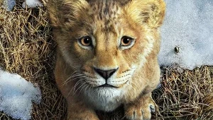 To był szalony pomysł, ale się udało. Ten film to doskonała rozrywka