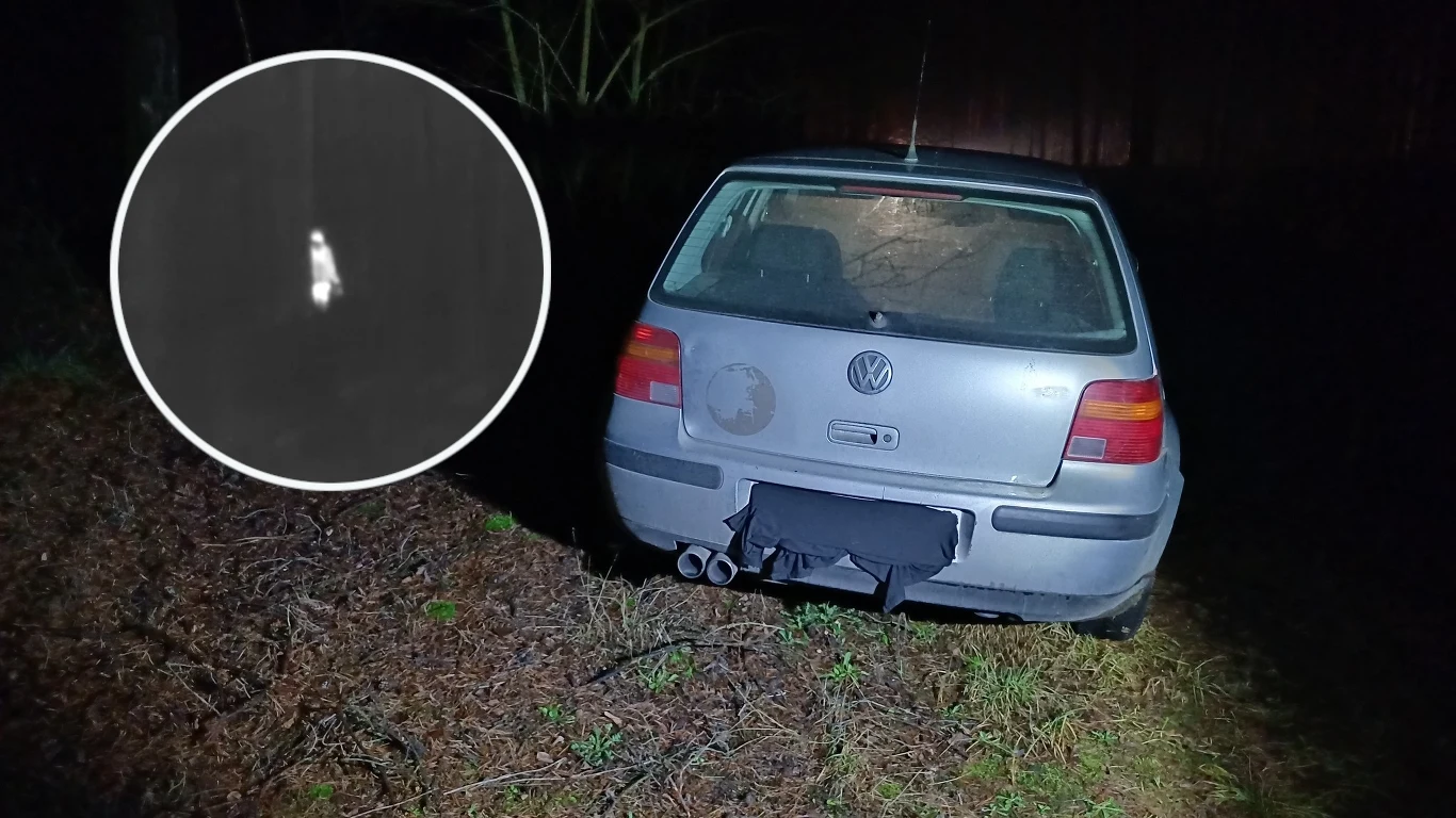 Leśnikom z Dolnego Śląska udało się przyłapać osoby, które nielegalnie wycinały drzewa w lesie Leśnikom z Dolnego Śląska udało się przyłapać osoby, które nielegalnie wycinały drzewa w lesie