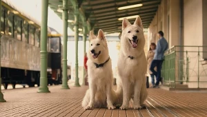 Kadr z filmu "O psie, który jeździł koleją 2"