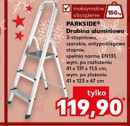 Drabina Parkside