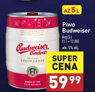 Piwo Budweiser