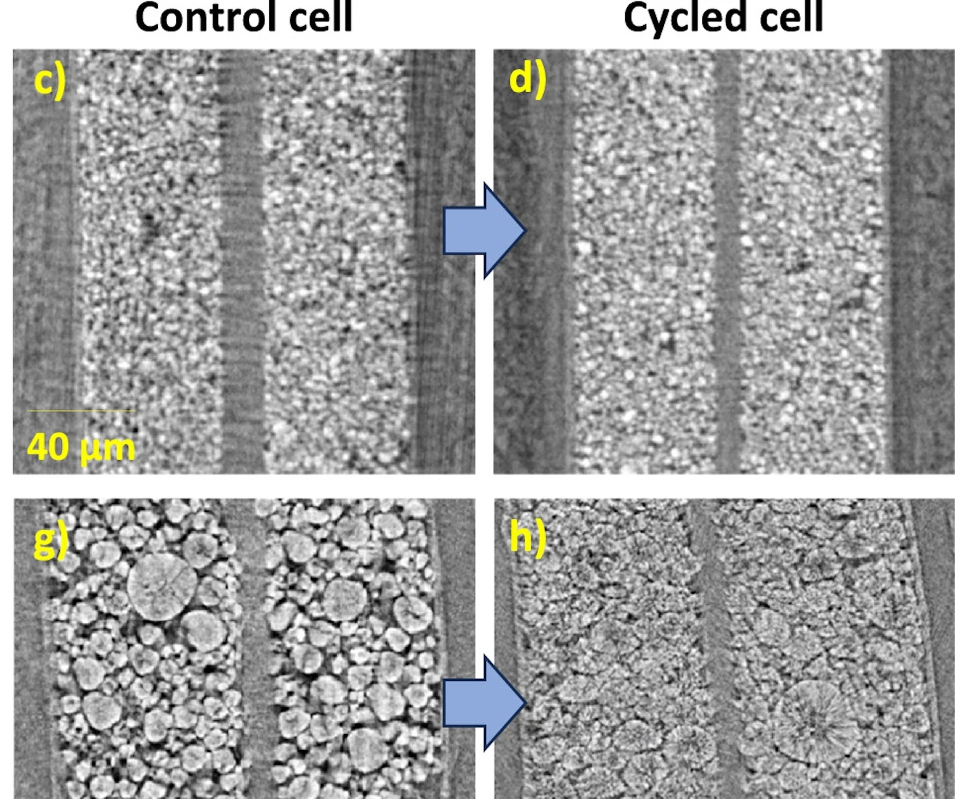 Po prawej stronie katoda eksperymentalnej baterii. Po lewej - współczesnego ogniwa
