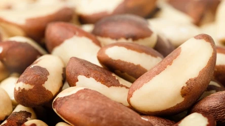 Orzechy brazylijskie mają dużo cennego selenu