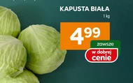 Kapusta biała