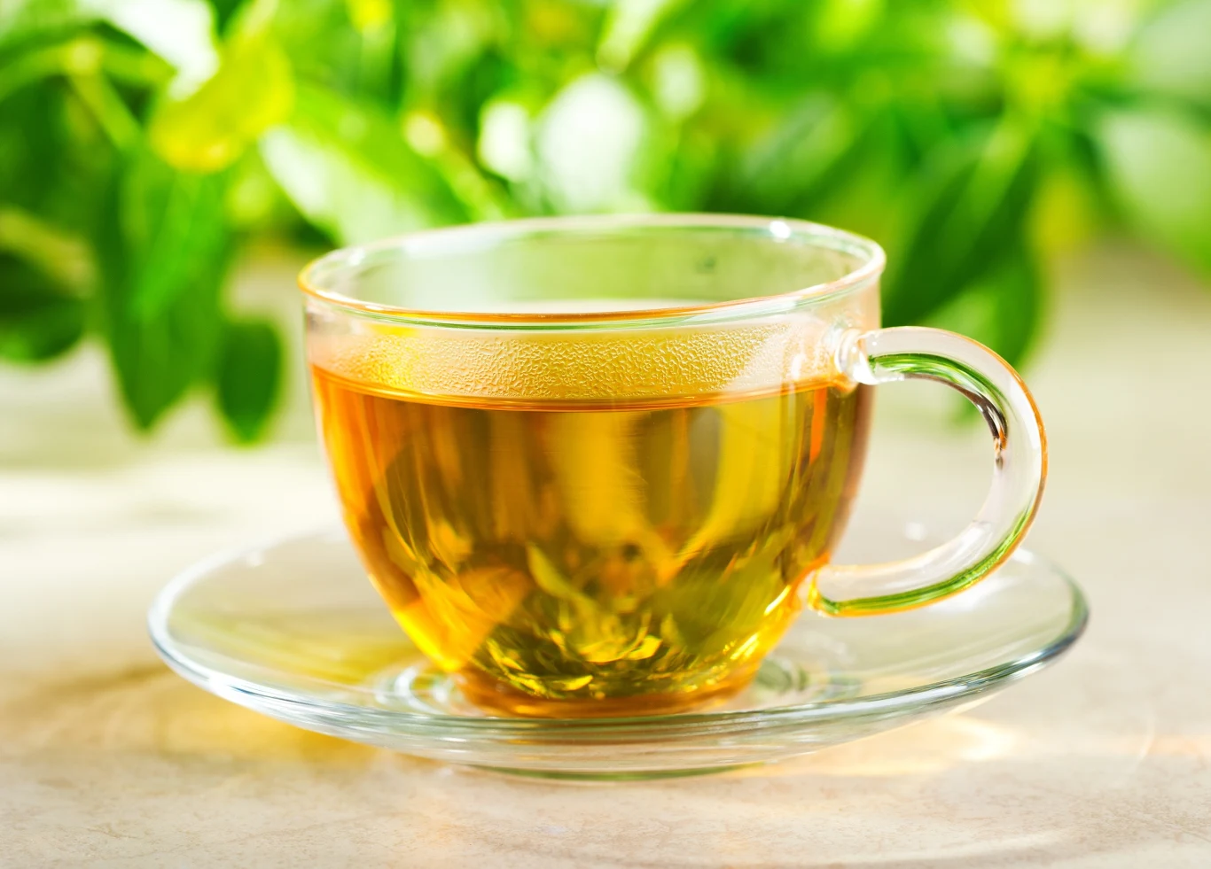 Napar z pokrzywy ma delikatny smak i mnóstwo cennych właściwości Napar z pokrzywy ma delikatny smak i mnóstwo cennych właściwości