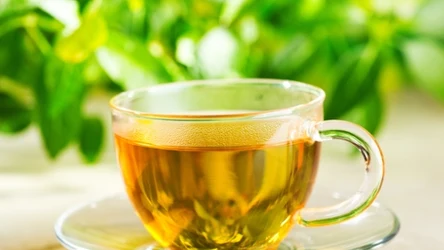 Napar z pokrzywy ma delikatny smak i mnóstwo cennych właściwości