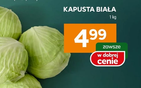 Kapusta biała