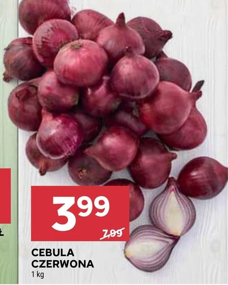 Cebula czerwona