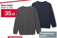 Bluza