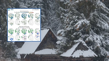 Najnowsze prognozy IMGW wskazują, że Wigilia i Boże Narodzenie 2024 roku nie będzie zbyt białe. Śnieg może się pojawić w górach. Ostatnie białe święta w całym kraju były w 2021 roku. Zdjęcie ilustracyjne