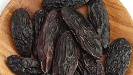 Fasola tonka mimo toksycznych właściwości jest dostępna w Polsce