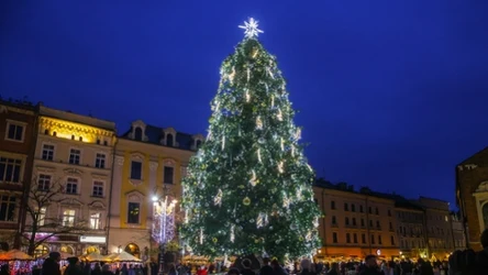 Choinka w Krakowie została uznana za najpiękniejsze bożonarodzeniowe drzewko.  