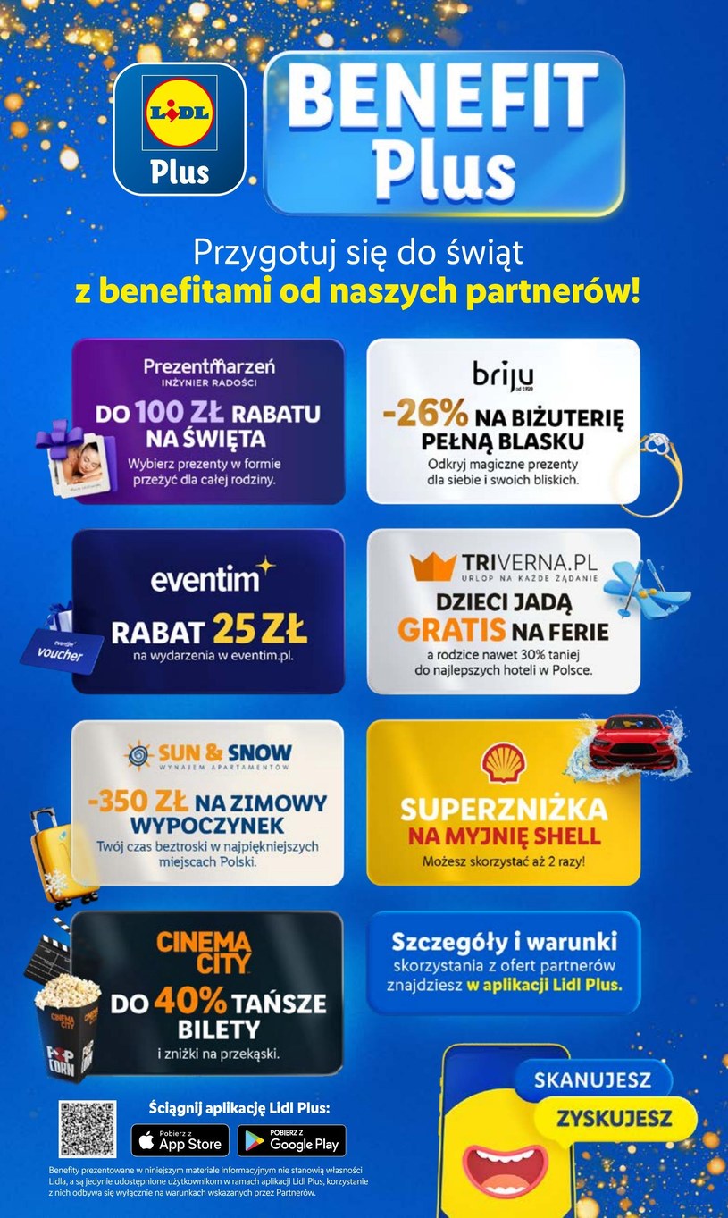 Gazetka: Świąteczne zakupy - Lidl - strona 41