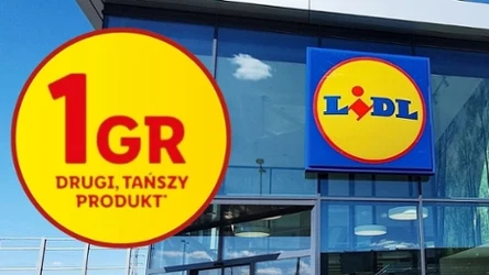 Wielka wyprzedaż w Lidlu ruszyła! Za wymarzoną zabawkę zapłacisz 1 grosz!