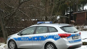 Koniec policyjnej obławy po strzelaninie. Podejrzani schwytani na Słowacji. Zdj. ilustracyjne