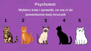 Świąteczny psychotest: Co ma ci do powiedzenia twój kot? 