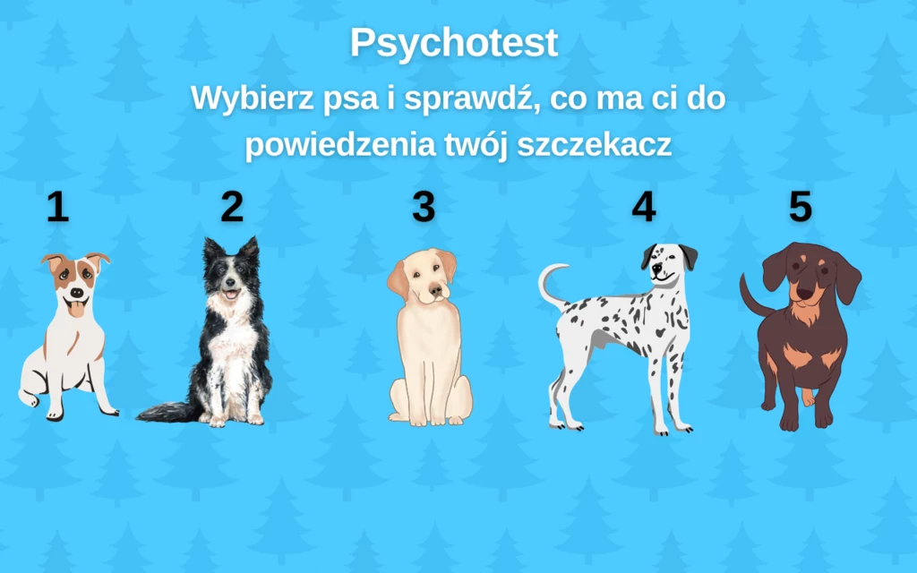 Test osobowości