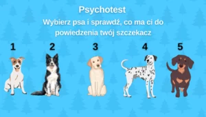 Psychotest: Co by powiedział twój pies, gdyby przemówił ludzkim głosem?