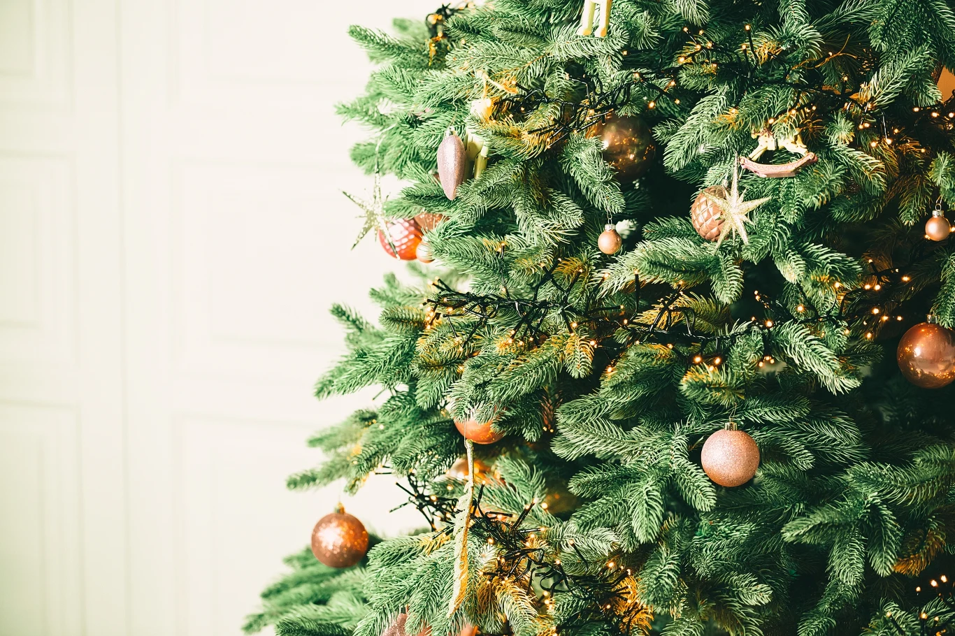 Chcesz zmniejszyć rachunki za prąd w święta? Wybierz lampki LED Żeby choinka nie gubiła igieł, należy wybrać dla niej odpowiednie miejsce w pokoju, w którym będzie panować optymalna temperatura
