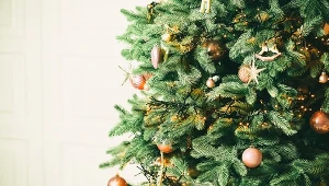 Gdzie nie stawiać choinki, by uniknąć kłopotów?