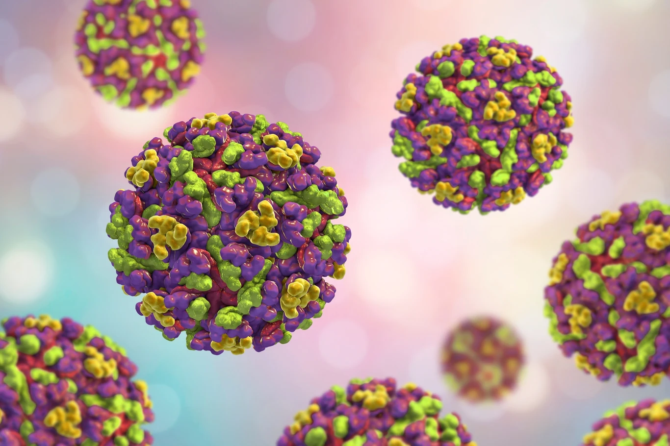 Tak wygląda wirus EEE