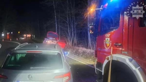 Czołowe zderzenie w Śląskiem. Cztery osoby ranne