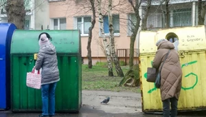 Wyrzucasz tu koci żwirek? Poważnie łamiesz prawo