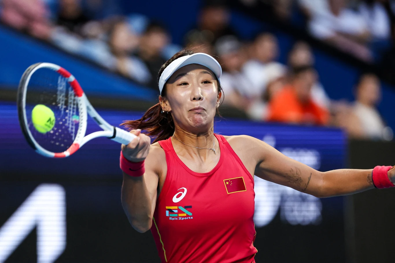Xinyu Gao Xinyu Gao