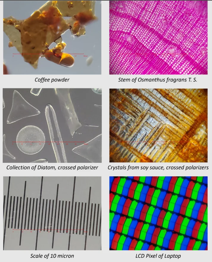 Przykładowe zdjęcia wykonane z iMicro Q3p przy użyciu Samsunga Galaxy S10e
