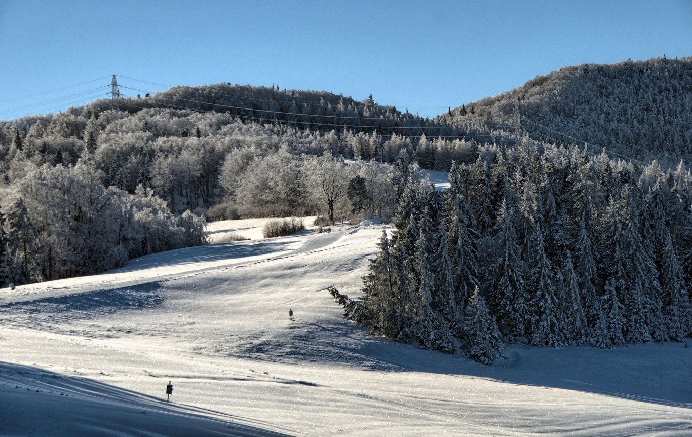 Stacja Narciarska Wierchomla to ośrodek narciarski, który oferuje wyciąg krzesełkowy Wierchomla oraz 3 wyciągi orczykowe. Stacja Narciarska Wierchomla to ośrodek narciarski, który oferuje wyciąg krzesełkowy Wierchomla oraz 3 wyciągi orczykowe.