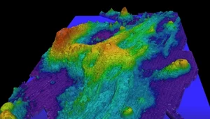 Ukształtowanie dna morskiego wokół Axial Seamount