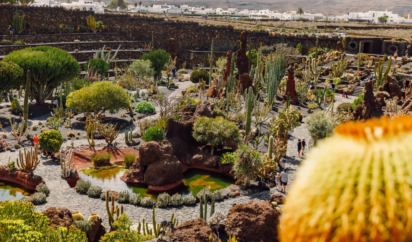 Jardin de Cactus, Lanzarote Jardin de Cactus, Lanzarote
