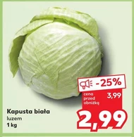 Kapusta biała