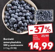 Borówki amerykańskie