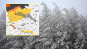 Prognoza pogody na pierwszy dzień nowego roku. Wiatr da się we znaki