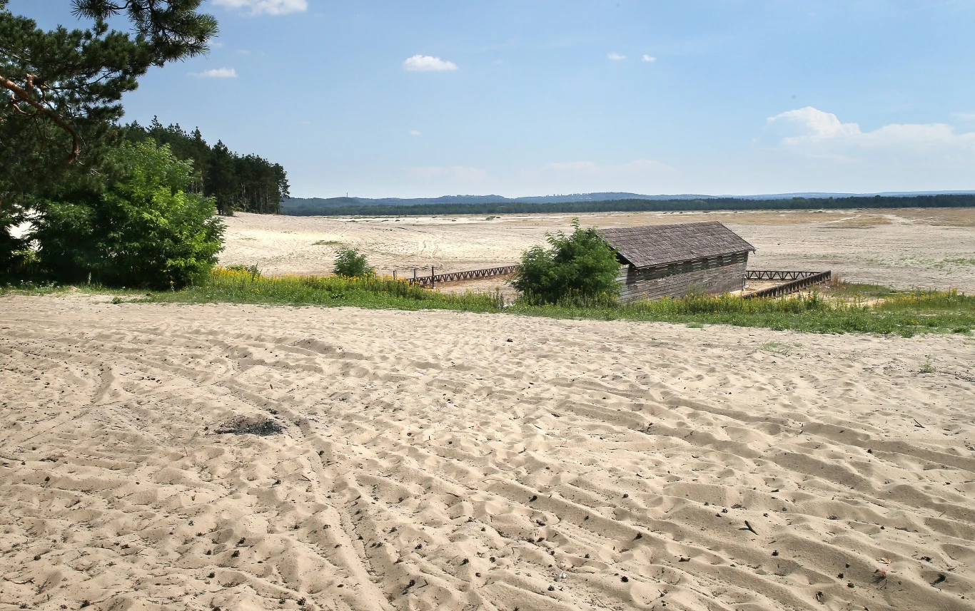 Pustynia Błędowska to unikalny ekosystem w skali Polski