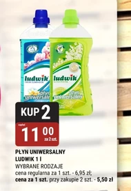 Płyn uniwersalny Ludwik